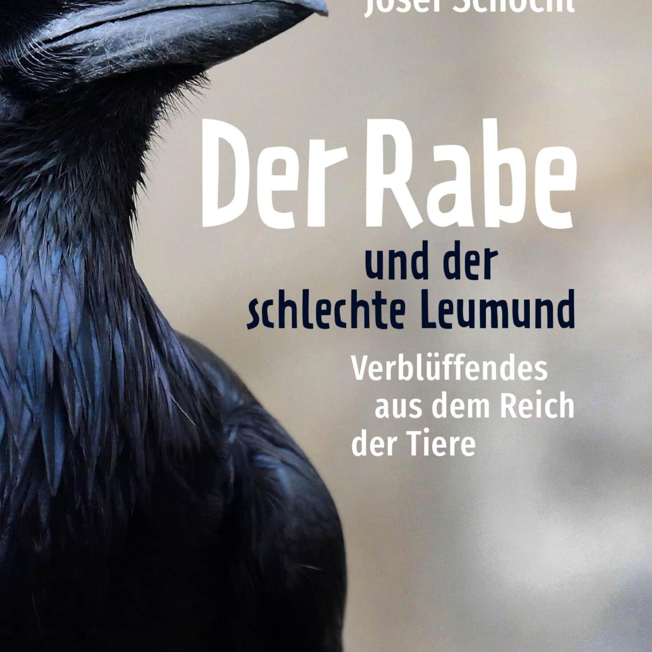Schöchl Buch
